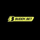 Buddy Bet онлайн казино огляд