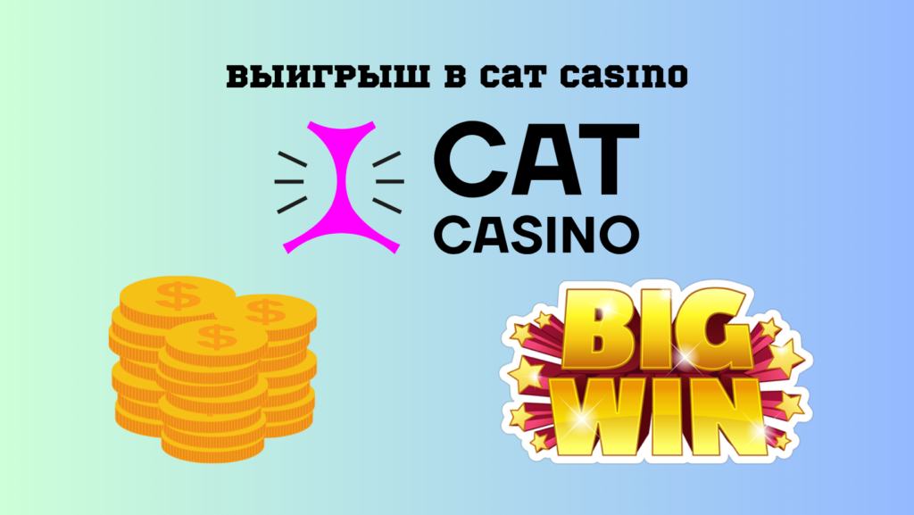 Выигрыш в Cat Casino